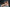 Real Lady Sexdoll Madison