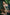 Real Lady Sexdoll Freya
