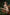 Real Lady Sexdoll Ivy