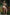 Real Lady Sexdoll Ivy