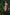 Real Lady Sexdoll Ivy
