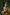 Real Lady Sexdoll Ivy