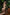 Real Lady Sexdoll Ivy