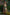 Real Lady Sexdoll Ivy