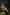 Real Lady Sexdoll Asha