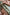 Real Lady Sexdoll Aethelflaed