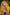Real Lady Sexdoll Anastasia