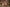 Real Lady Sexdoll Aethelflaed