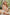 Real Lady Sexdoll Annika