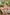 Real Lady Sexdoll Annika