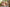 Real Lady Sexdoll Annika