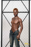 Irontech Doll männliche Sex Doll Kwame