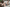 Fanreal Sex Doll Hanae