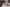 Fanreal Sex Doll Hanae