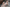 Fanreal Sex Doll Hanae