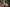 Fanreal Sex Doll Naomi