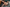 Fanreal Sex Doll Lara