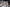 Fanreal Sex Doll Line