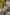 Fanreal Sex Doll Ami