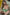 Fanreal Sex Doll Ami