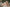Fanreal Sex Doll Asaku