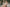 Fanreal Sex Doll Asaku