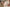 Fanreal Sex Doll Asaku
