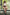 Firedoll Sexpuppe Naomi