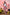 Fanreal Sex Doll Sakura