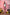 Fanreal Sex Doll Sakura