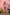 Fanreal Sex Doll Sakura