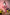 Fanreal Sex Doll Sakura