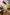 Fanreal Sex Doll Sakura