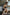 Starpery Sexpuppe Ava
