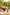 Starpery Sexpuppe Dandan