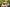 Starpery Sexpuppe Dandan