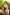 Starpery Sexpuppe Dandan