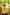 Starpery Sexpuppe Dandan