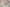 TAYU Sex Doll Nova Peach