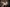 [Wonder Dolly] Cute Sex Doll 158T ROS T3 Nia – Adorable, Lifelike, and Seductive