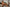 [US In-Stock] Silicone Real Life Sex Doll 164cm S40 Eileen – A Masterpiece of Design & Craftsmanship