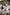 Starpery Sexpuppe Moner
