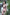 Starpery Sexpuppe Barbara