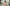 Starpery Sexpuppe Yufan