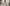Starpery Sexpuppe Yufan