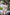 Starpery Sexpuppe Qingwen
