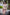 Starpery Sexpuppe Qingwen
