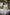 Starpery Sexpuppe Qingwen