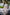 Starpery Sexpuppe Qingwen