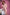 Starpery Sexpuppe Julie